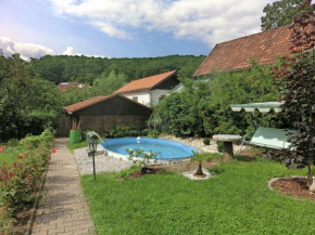 Holiday home in Thuringia with private terrace use of a garden and pool